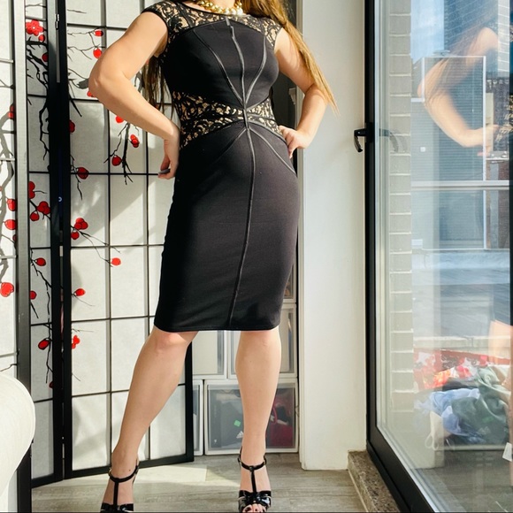 Tadashi Shoji Black Lace Bodycon Dress - Picture 14 of 17